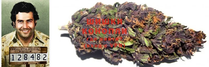 МАРИХУАНА SATIVA & INDICA  где купить   гидра   Ессентуки 